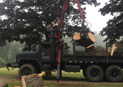 Log removal with boom truck | cherry picker