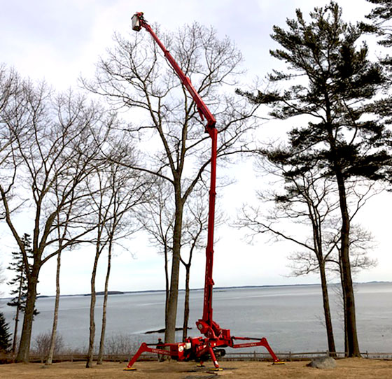 Spider lift trimming tree on waterfront