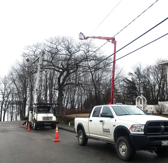 Bucket Truck and Spider Lift, Tree Services